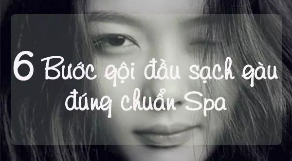 cach-goi-dau-sach-gau