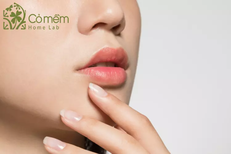 tri-sung-moi-tai-nha