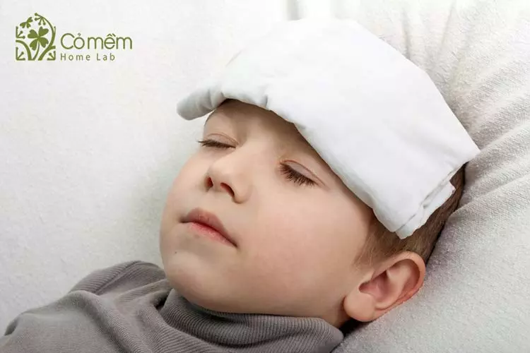 tinh-dau-que-giai-cam