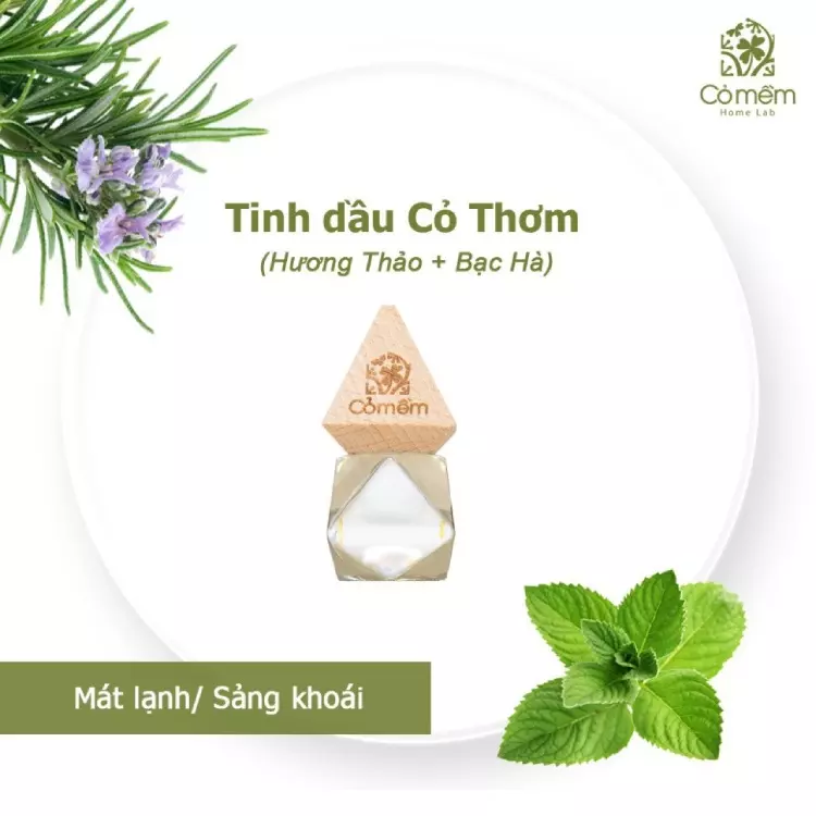 hướng dẫn sử dụng tinh dầu thơm phòng