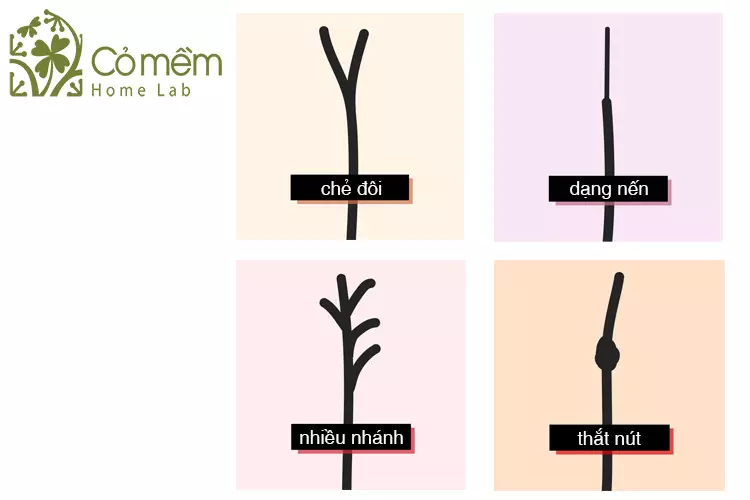 cac-kieu-toc-che-ngon