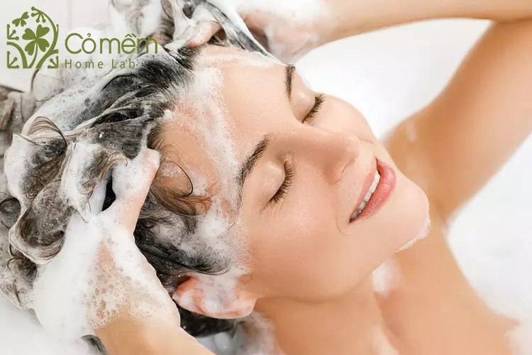 goi-dau-thuong-xuyen