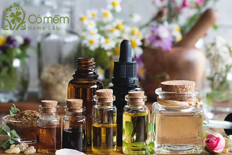 phan-biet-tinh-dau-va-dau