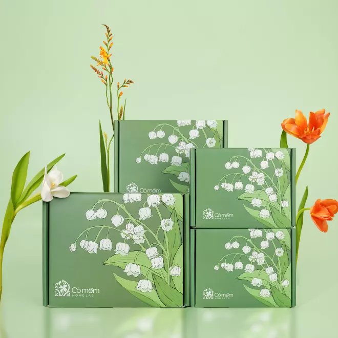 Vỏ Hộp Quà Tặng Và Thiệp Ngẫu Nhiên