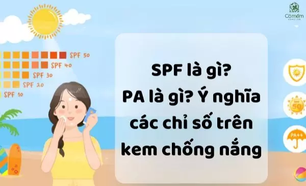 SPF là gì? PA là gì? Ý nghĩa các chỉ số trên kem chống nắng