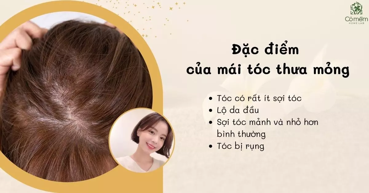 kiểu tóc dành cho tóc mỏng