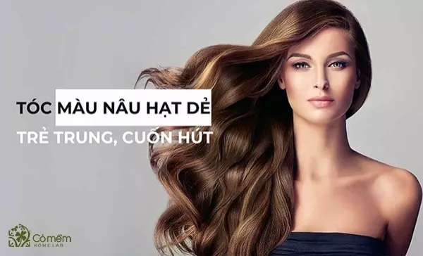 999+ kiểu tóc màu nâu hạt dẻ trẻ trung, cuốn hút chị em yêu thích
