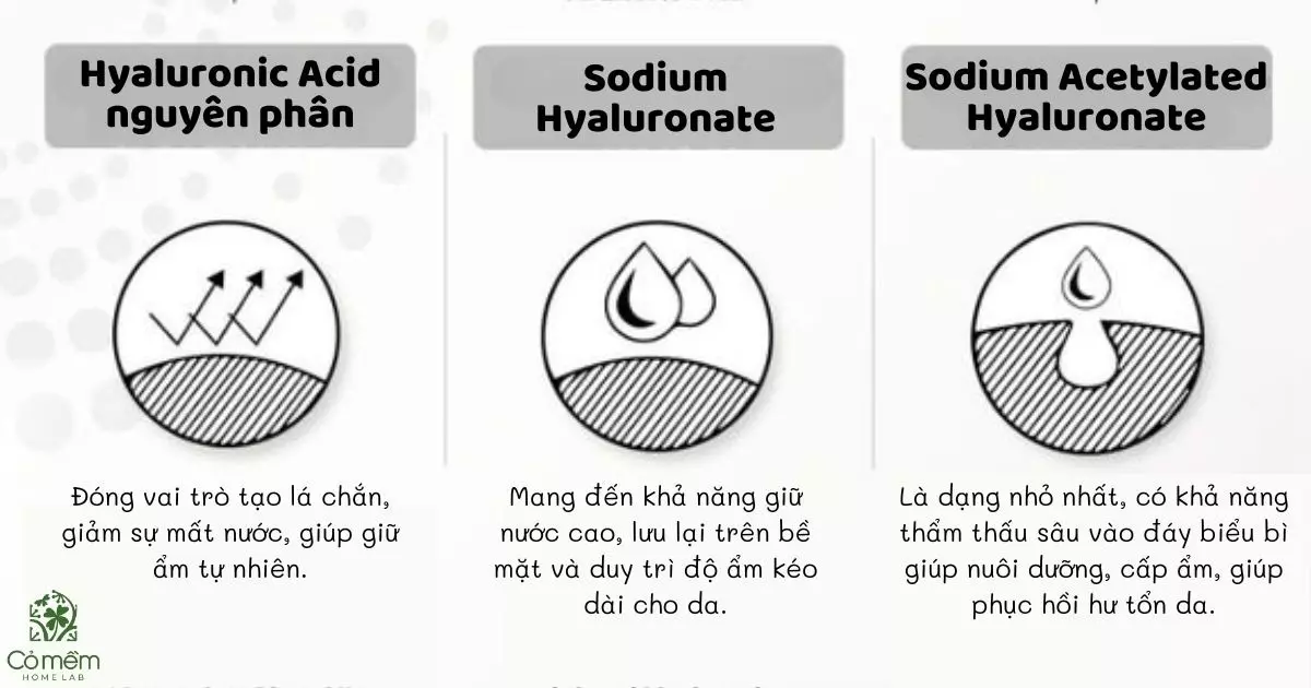 hyaluronic acid