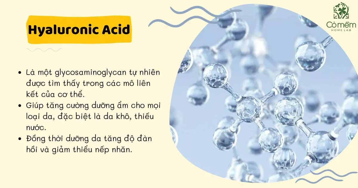 hyaluronic acid