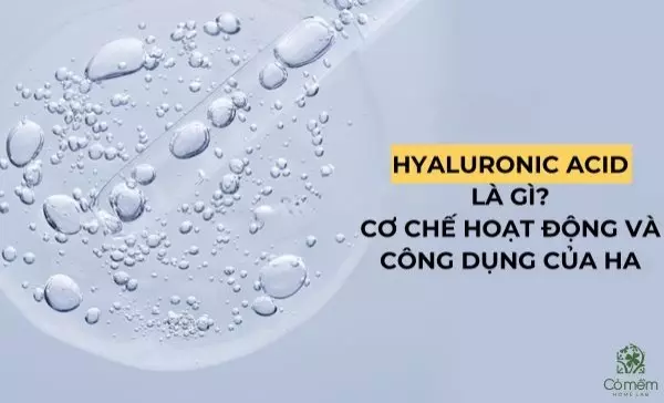 Hyaluronic Acid là gì? Cơ chế hoạt động và công dụng của HA