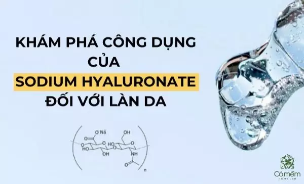 Khám phá công dụng của Sodium Hyaluronate đối với làn da