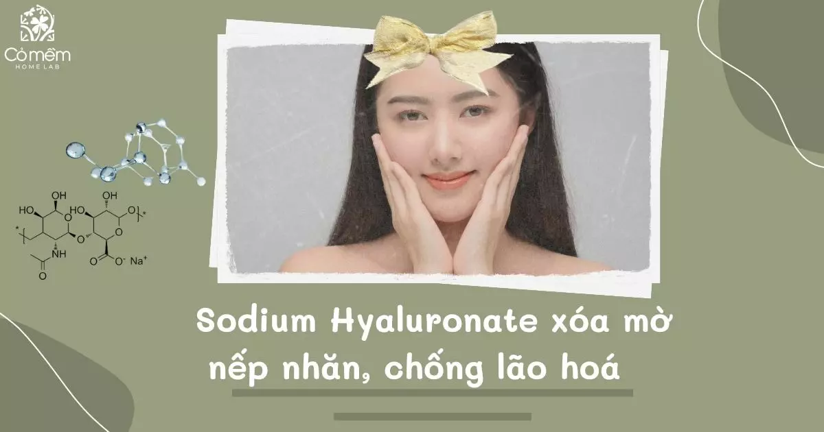 sodium hyaluronate