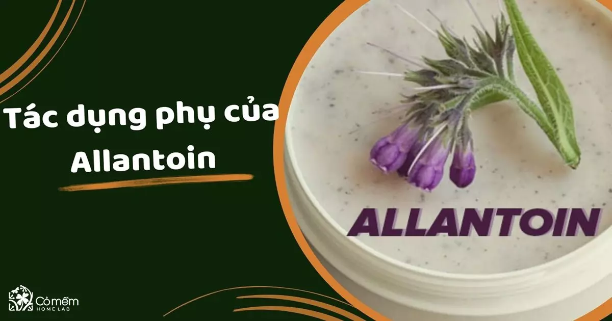 allantoin