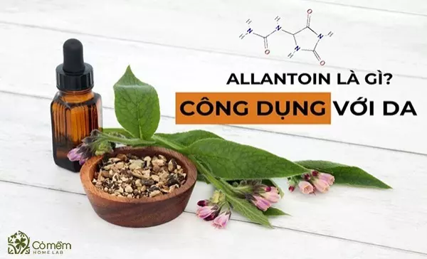 Allantoin là gì? Tìm hiểu công dụng của Allantoin đối với da