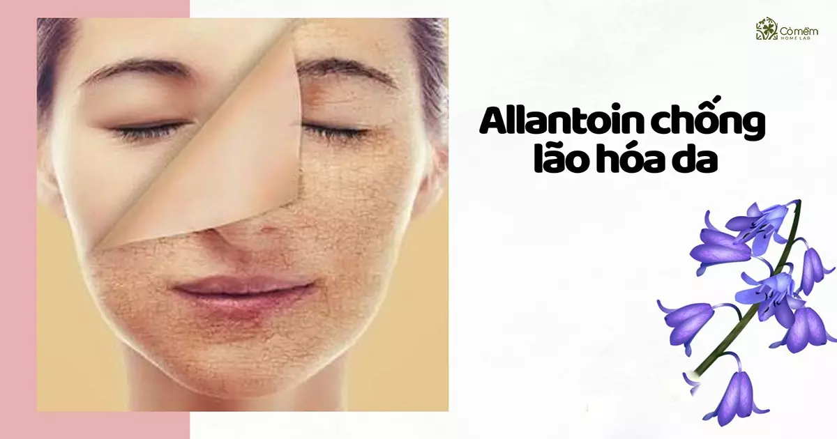 allantoin