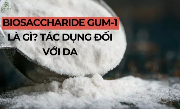 Biosaccharide gum-1 là gì? Biosaccharide gum-1 có tác dụng gì với da