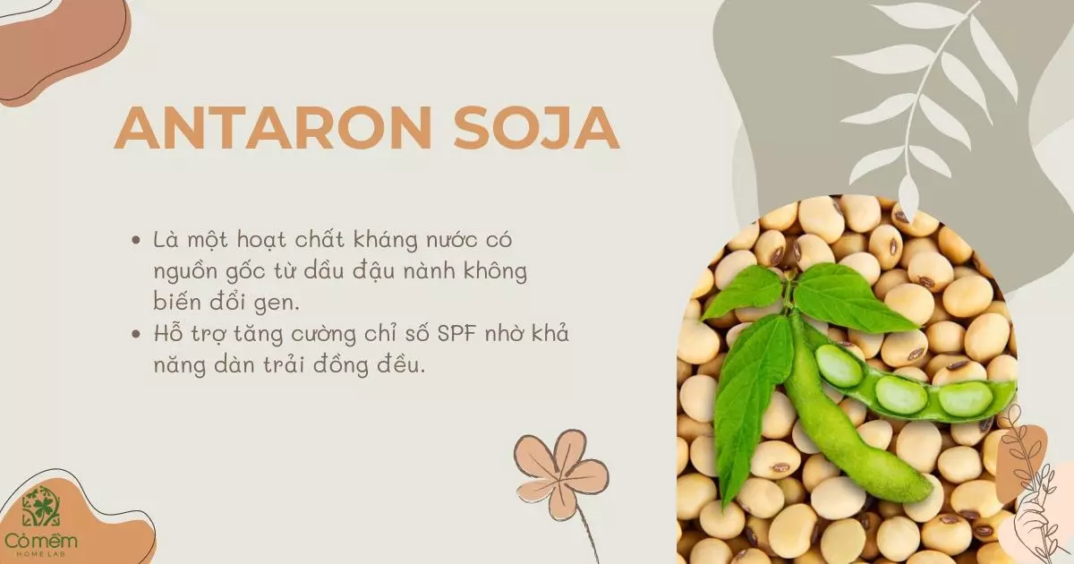 các thành phần kem chống nắng