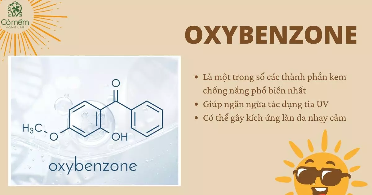 các thành phần kem chống nắng