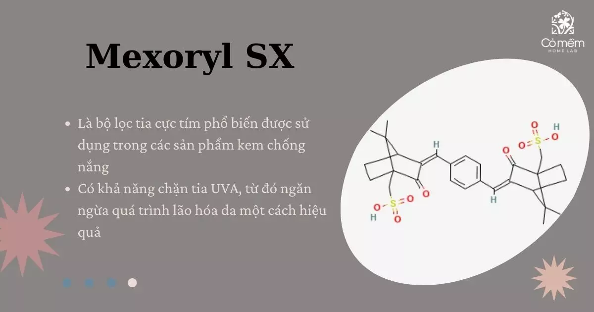 các thành phần kem chống nắng