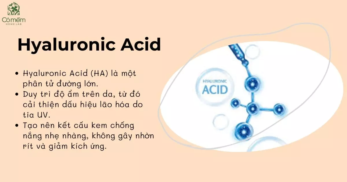 các thành phần kem chống nắng