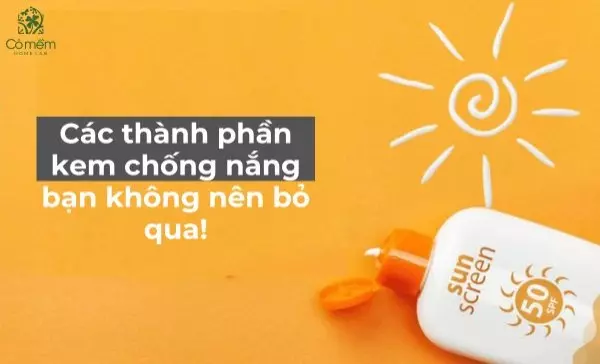 các thành phần kem chống nắng