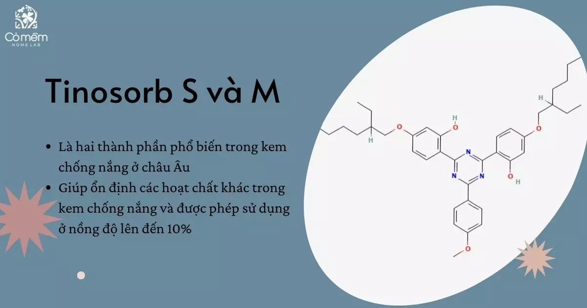 các thành phần kem chống nắng