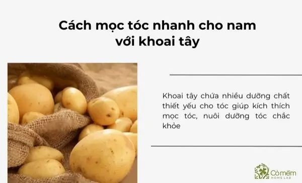 cách mọc tóc nhanh cho nam