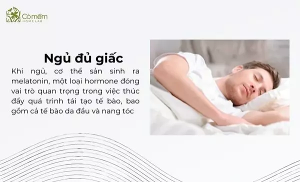 cách mọc tóc nhanh cho nam