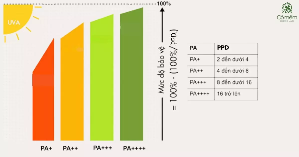 chỉ số pa trong kem chống nắng
