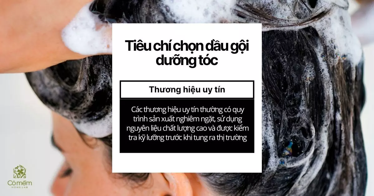 dầu gội dưỡng tóc