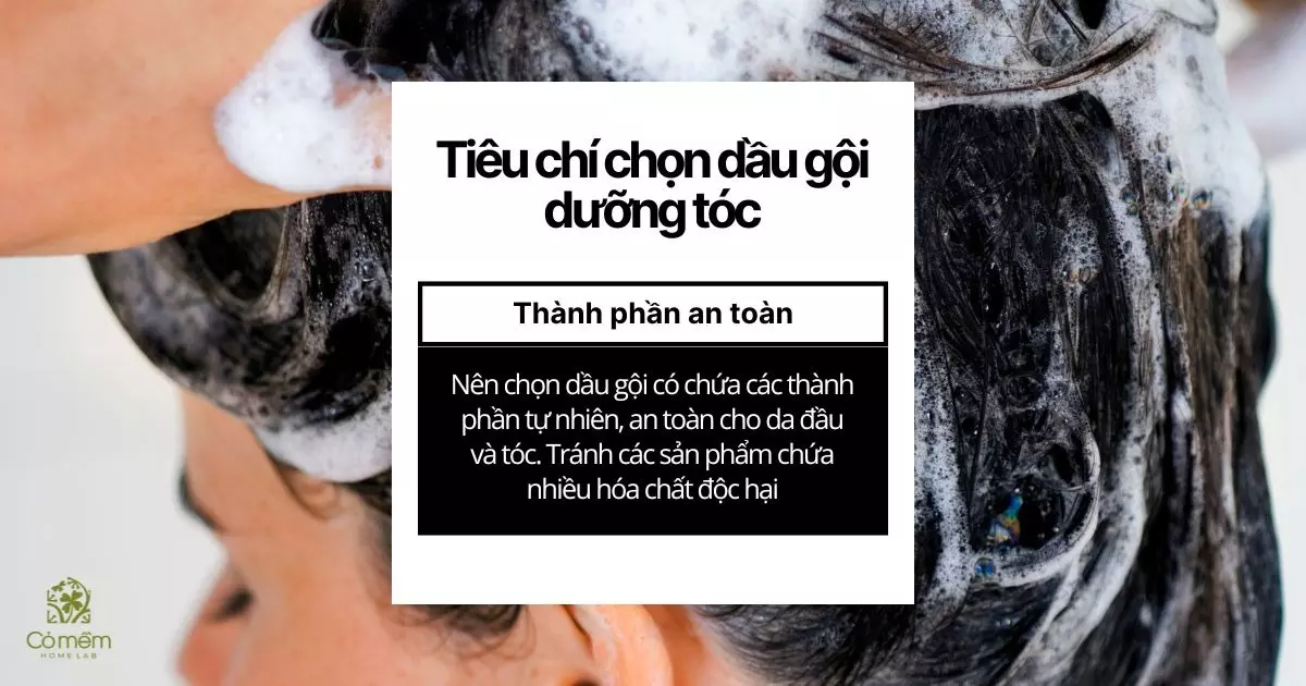 dầu gội dưỡng tóc