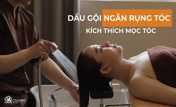 dầu gội ngăn rụng tóc kích thích mọc tóc