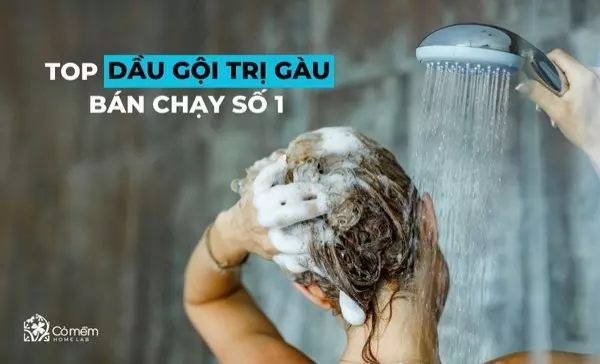 dầu gội trị gàu