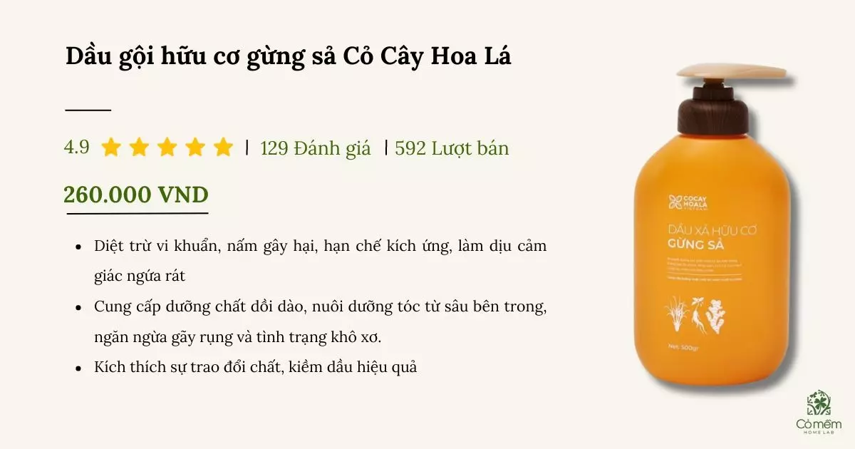 dầu gội trị gàu