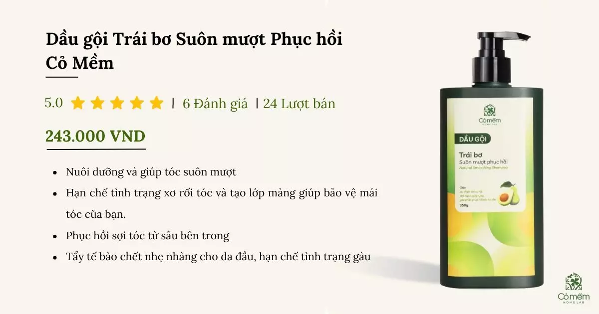 dầu gội trị gàu