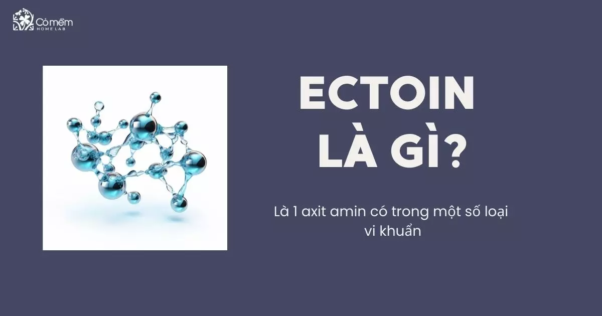 ectoin