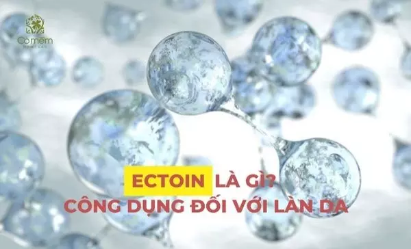 Ectoin là gì? Công dụng của Ectoin đối với làn da bạn đã biết chưa?