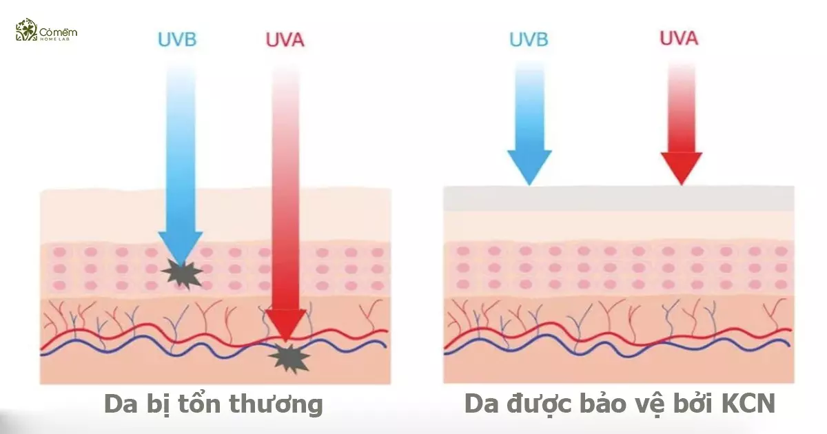 màng lọc chống nắng