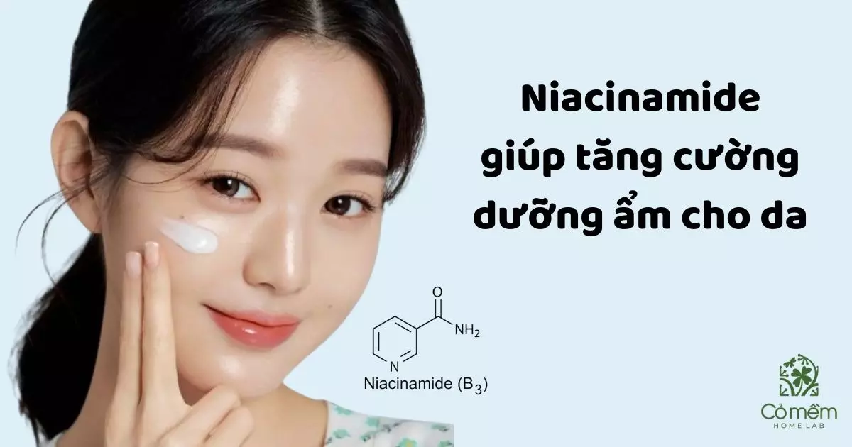 Niacinamide 