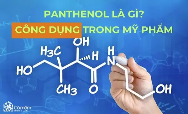 Panthenol là gì? Công dụng của Panthenol trong mỹ phẩm