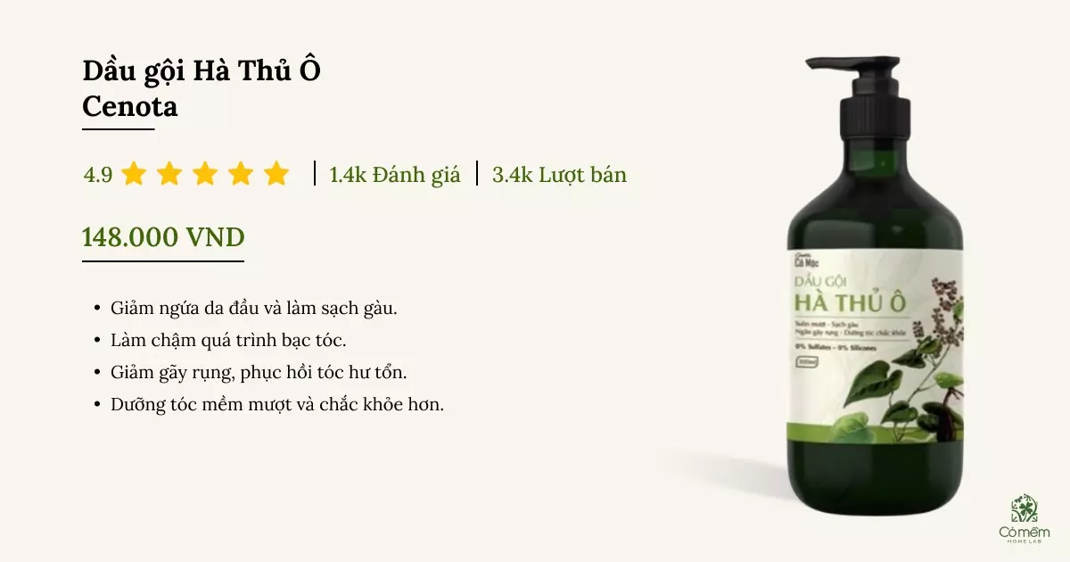 review dầu gội