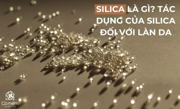 Silica là gì? Tìm hiểu tác dụng của Silica đối với làn da