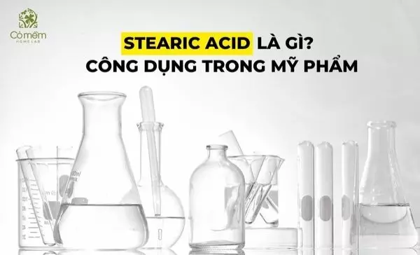 Stearic Acid là gì? Công dụng của Stearic Acid trong mỹ phẩm