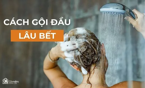 cách gội đầu lâu bết