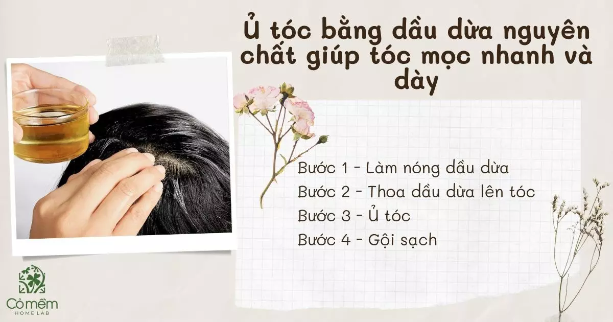 cách sử dụng dầu dừa cho tóc mọc nhanh