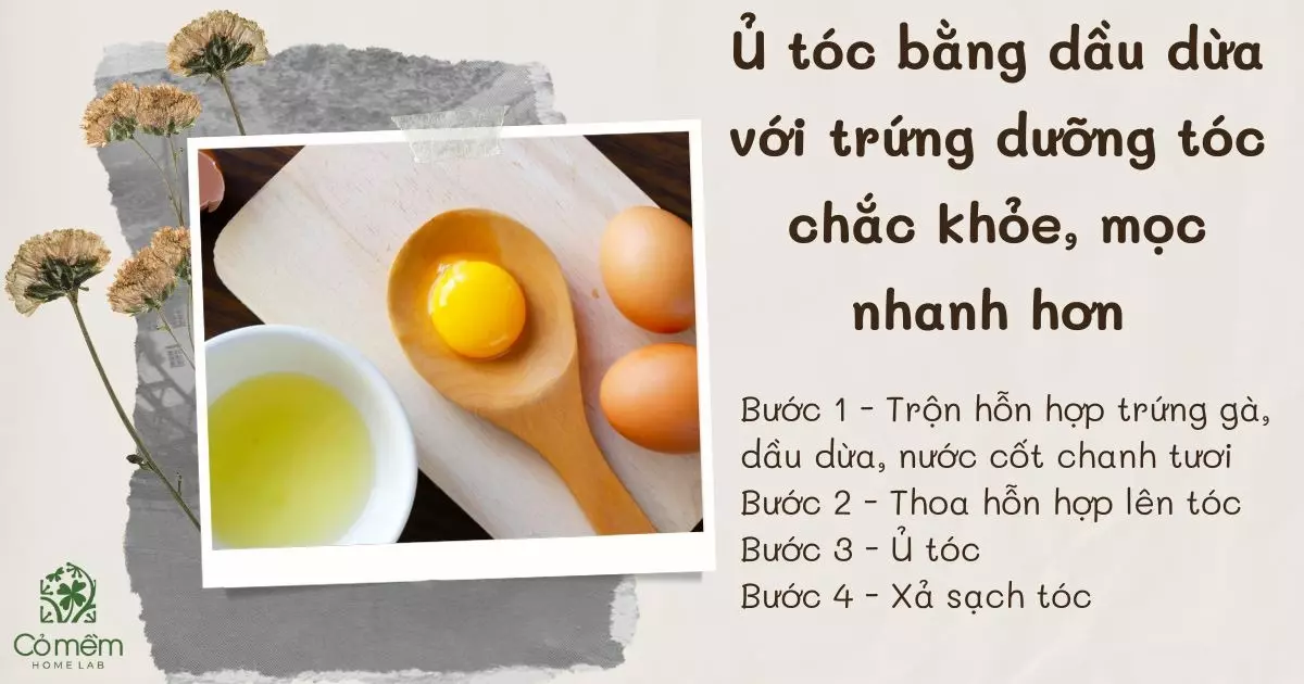 cách sử dụng dầu dừa cho tóc mọc nhanh