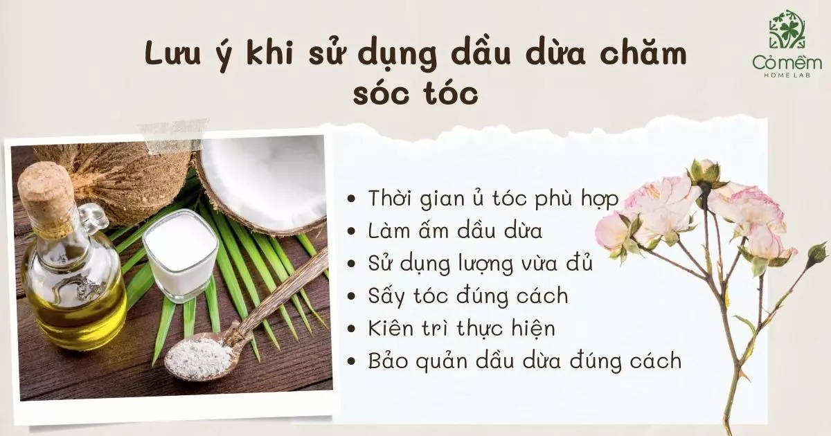 cách sử dụng dầu dừa cho tóc mọc nhanh