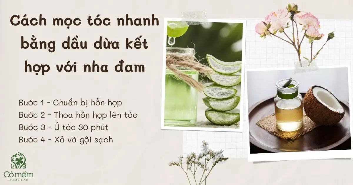 cách sử dụng dầu dừa cho tóc mọc nhanh