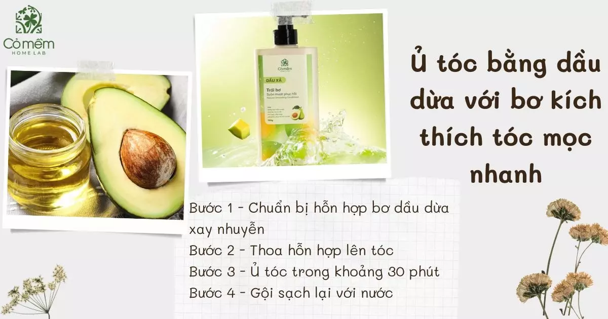 cách sử dụng dầu dừa cho tóc mọc nhanh