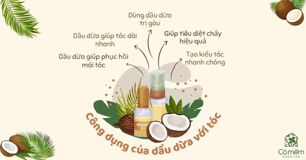 cách sử dụng dầu dừa cho tóc mọc nhanh